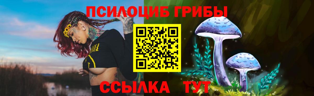 Галлюциногенные грибы мухоморы  Вход с VPN  Лабинск  Псилоцибиновые грибы Psilocybine cubensis 